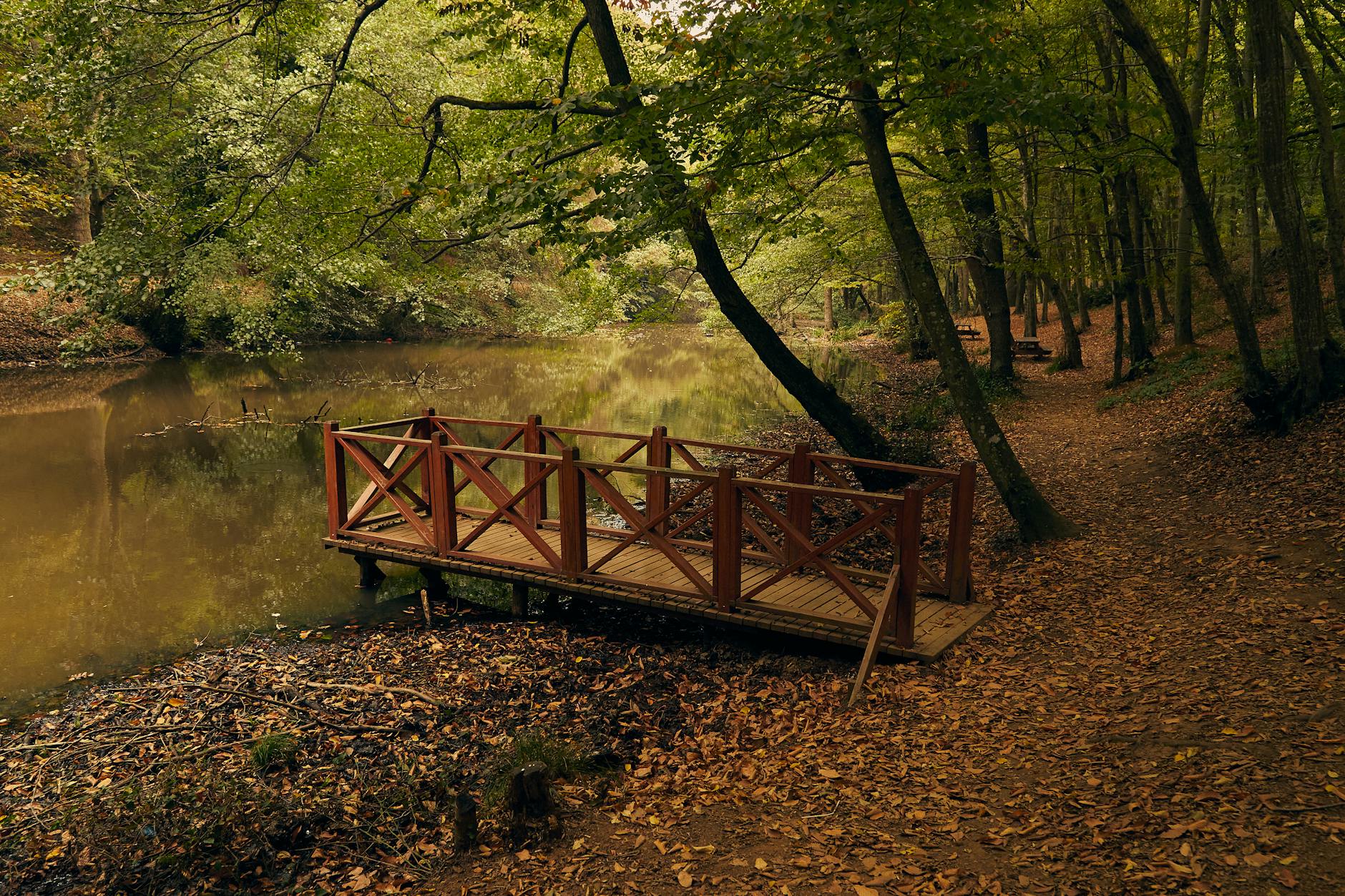 tranquil wooden bridge in autumn forest